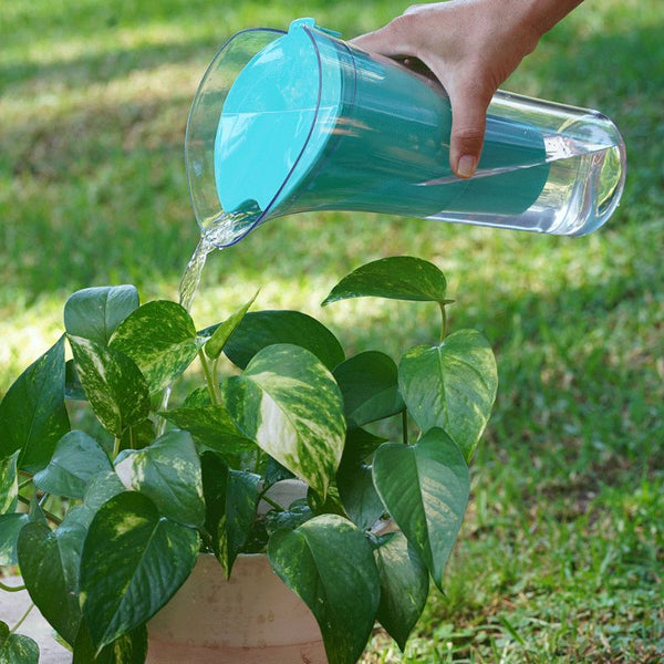 Purificador de Agua Sobre Mesada AQUA Negro + Jarra Purificadora SENSE | DVIGI